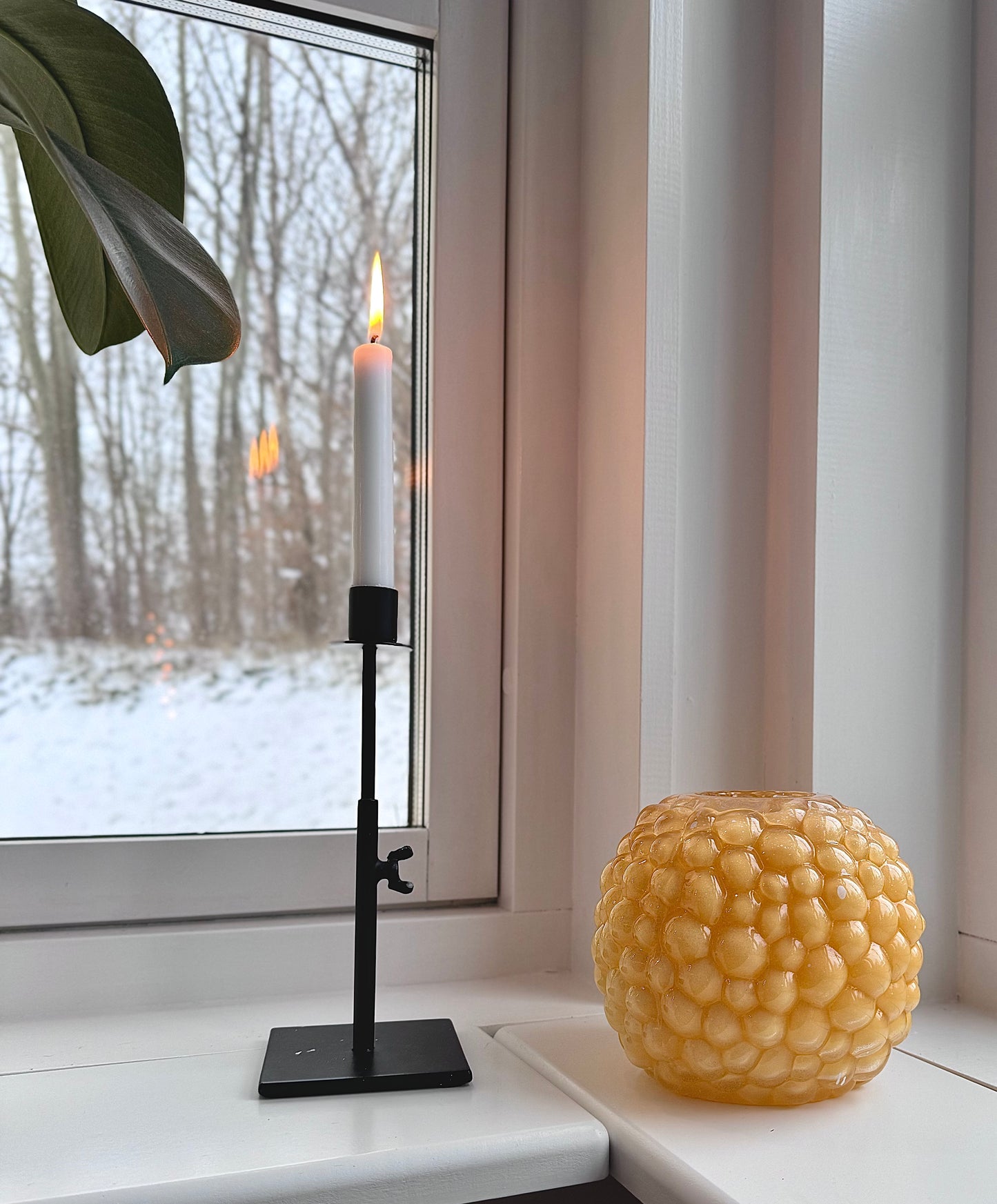 BUBBLY Mini papaya