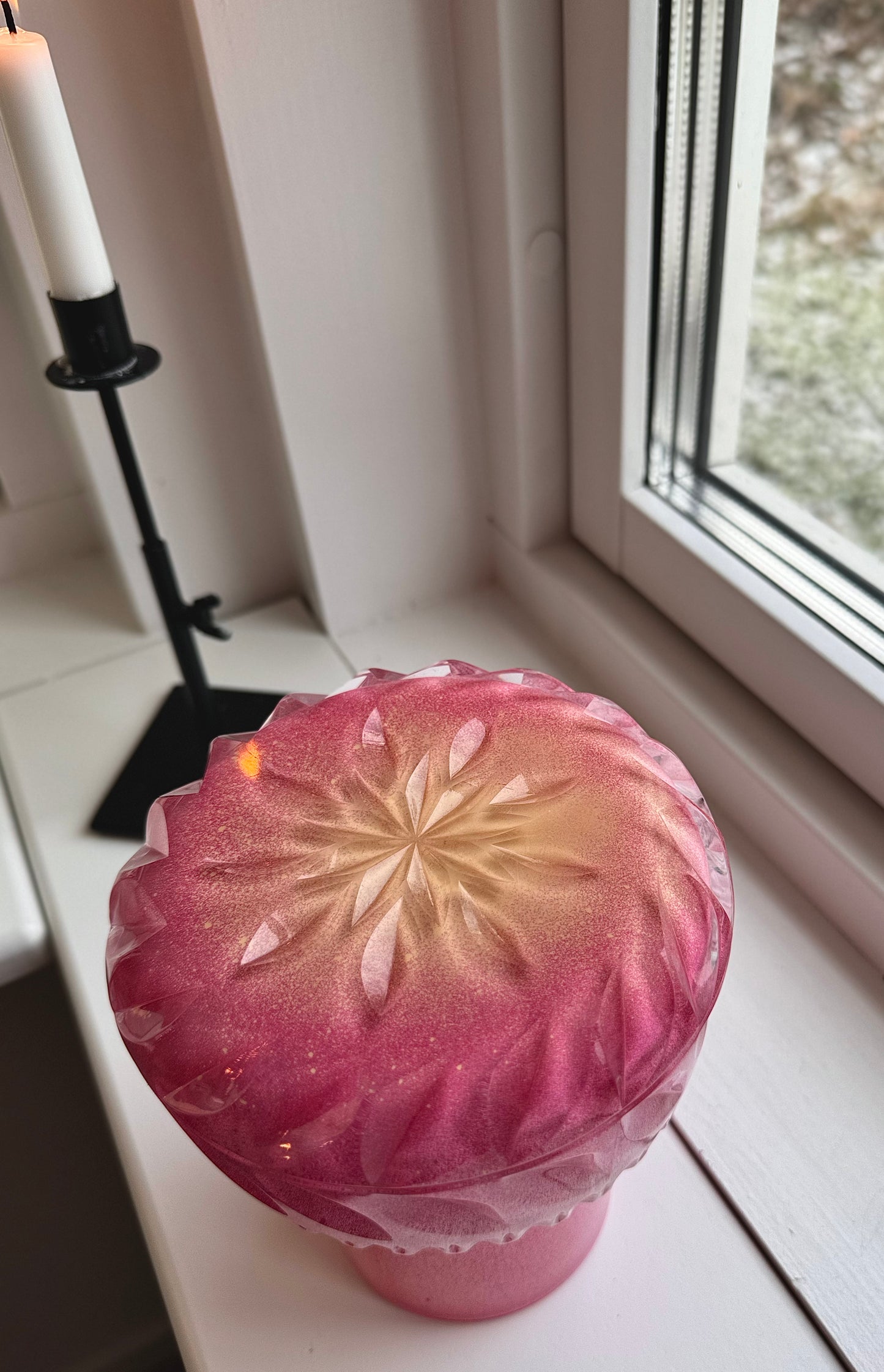 Dahlia Beautiful Rose